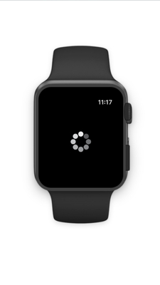 Apple Watch loader screenshot