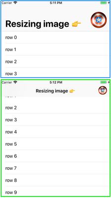 Resizing Image in Navigation Bar screenshot