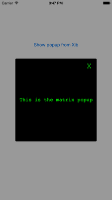 PopupContainer (Swift) screenshot