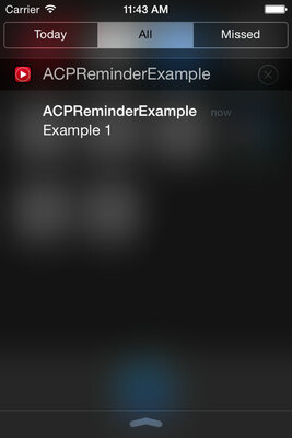 ACPReminder screenshot